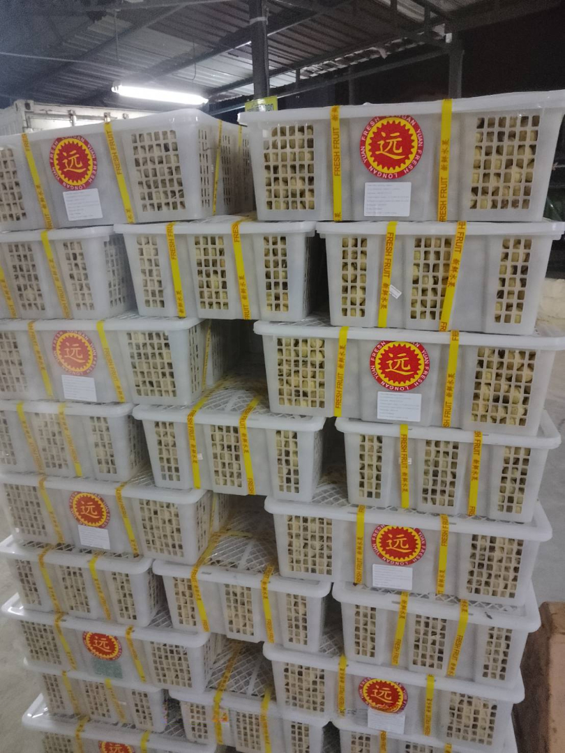 CAP Logistics Refrigerator Truck Work 1