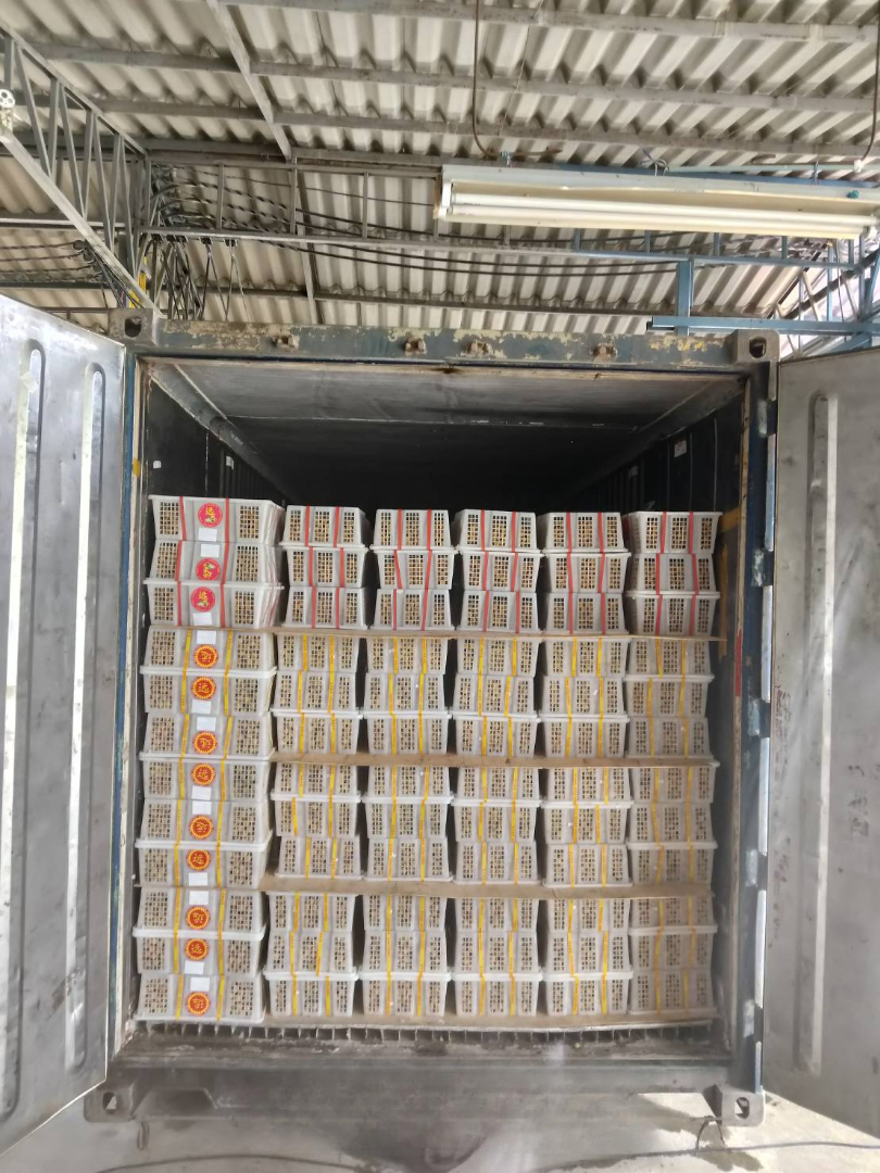 CAP Logistics Refrigerator Truck Work 2