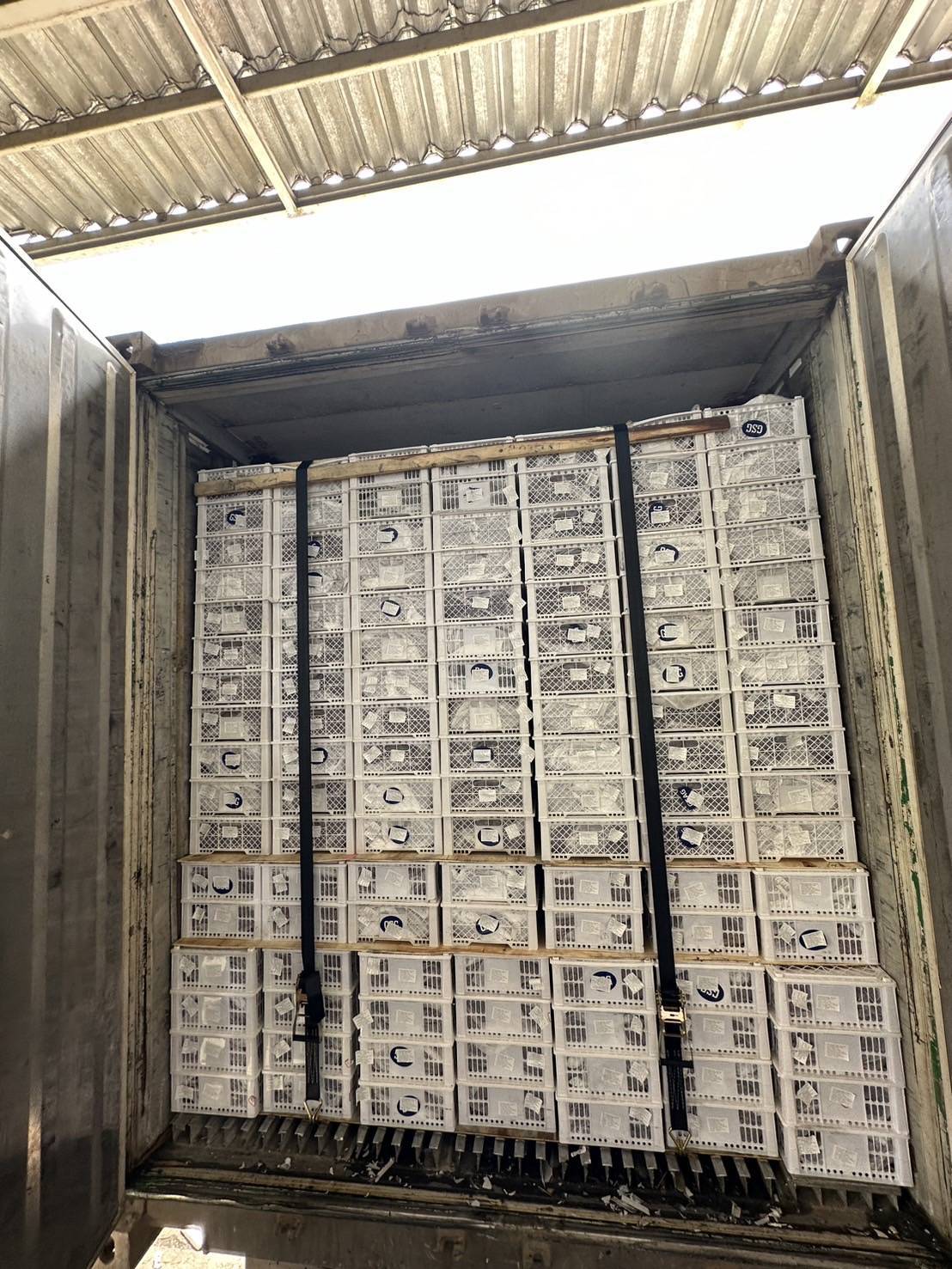 CAP Logistics Refrigerator Truck Work 3